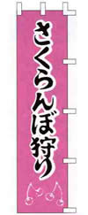 ̂ڂ@ʕ@