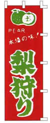 ̂ڂ@ʕ@