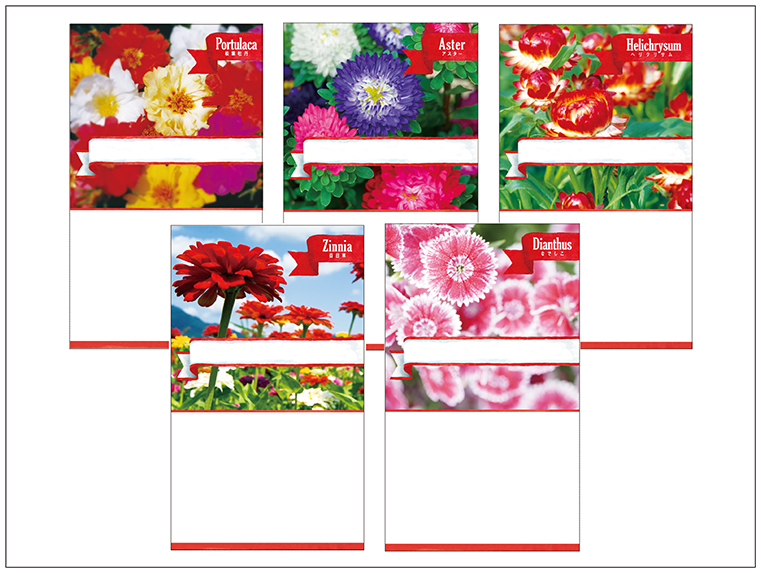 名入れ花の種 春蒔き 花の種 ノベルティグッズならe Poket 名入れ花の種 春蒔き 花の種 ノベルティグッズならe Poket