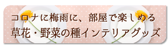 t~JɂāAGRŕŊy߂鑐ԁE؂̎CeAObY